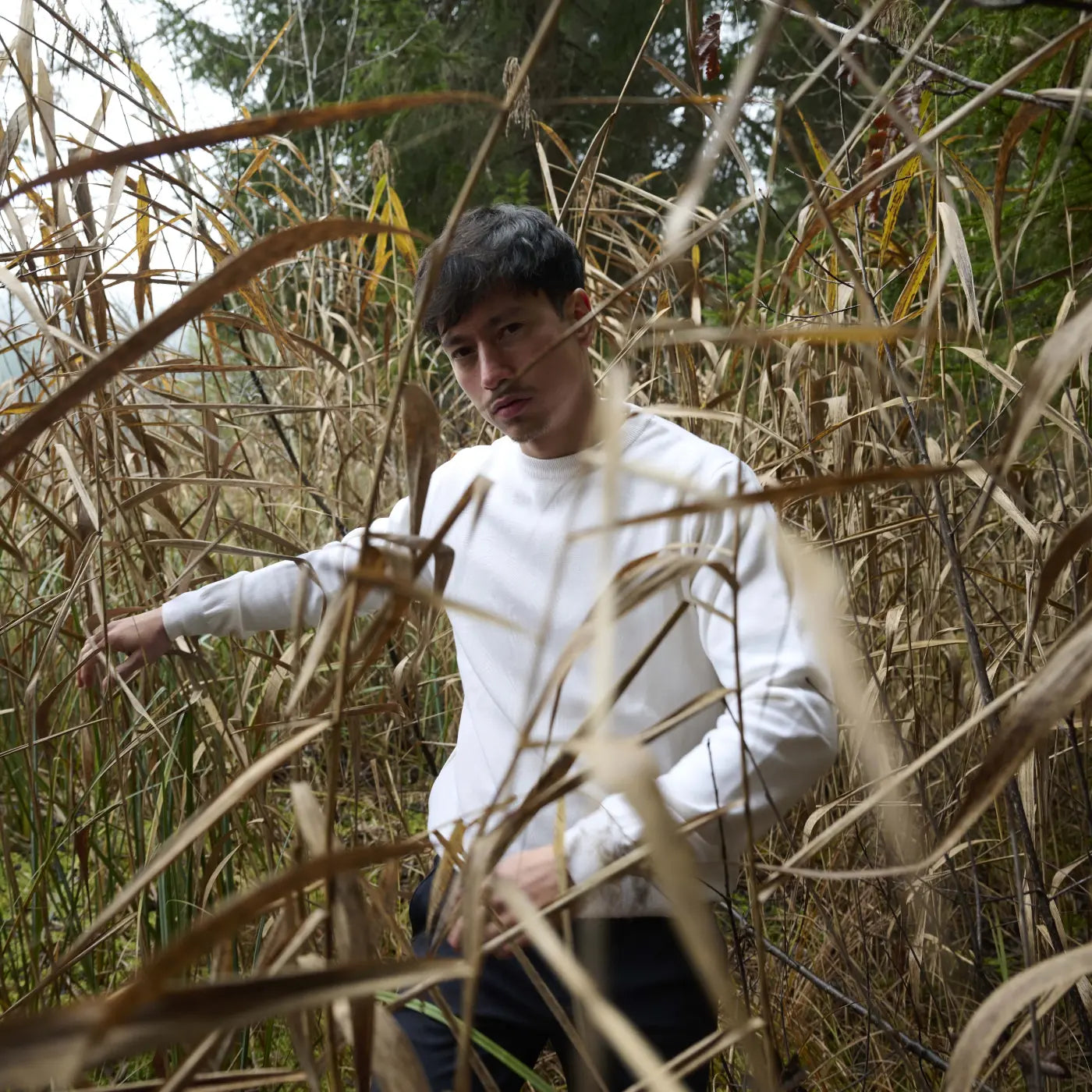 Strickpullover LEGNA-MERINO Muntagnard #color_white
